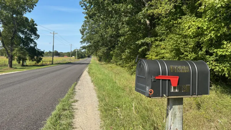 A mailbox with its red flag raised beside a long country road