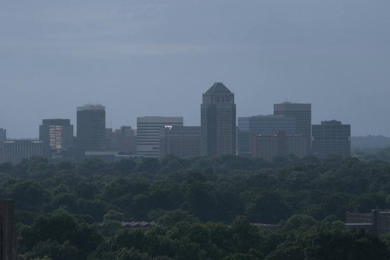 The downtown Clayton office skyline rising above a line of trees in soft morning haze.